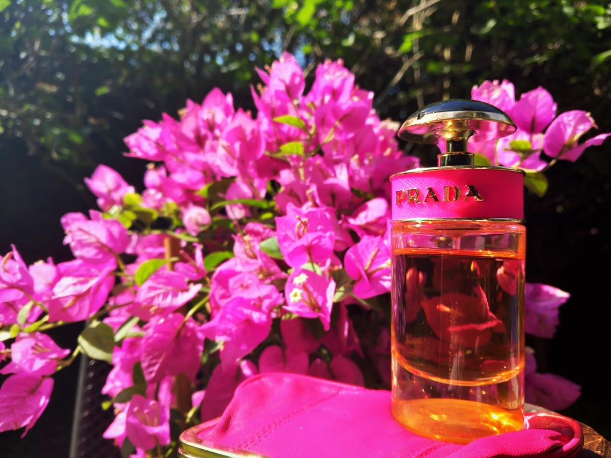parfum prada candy