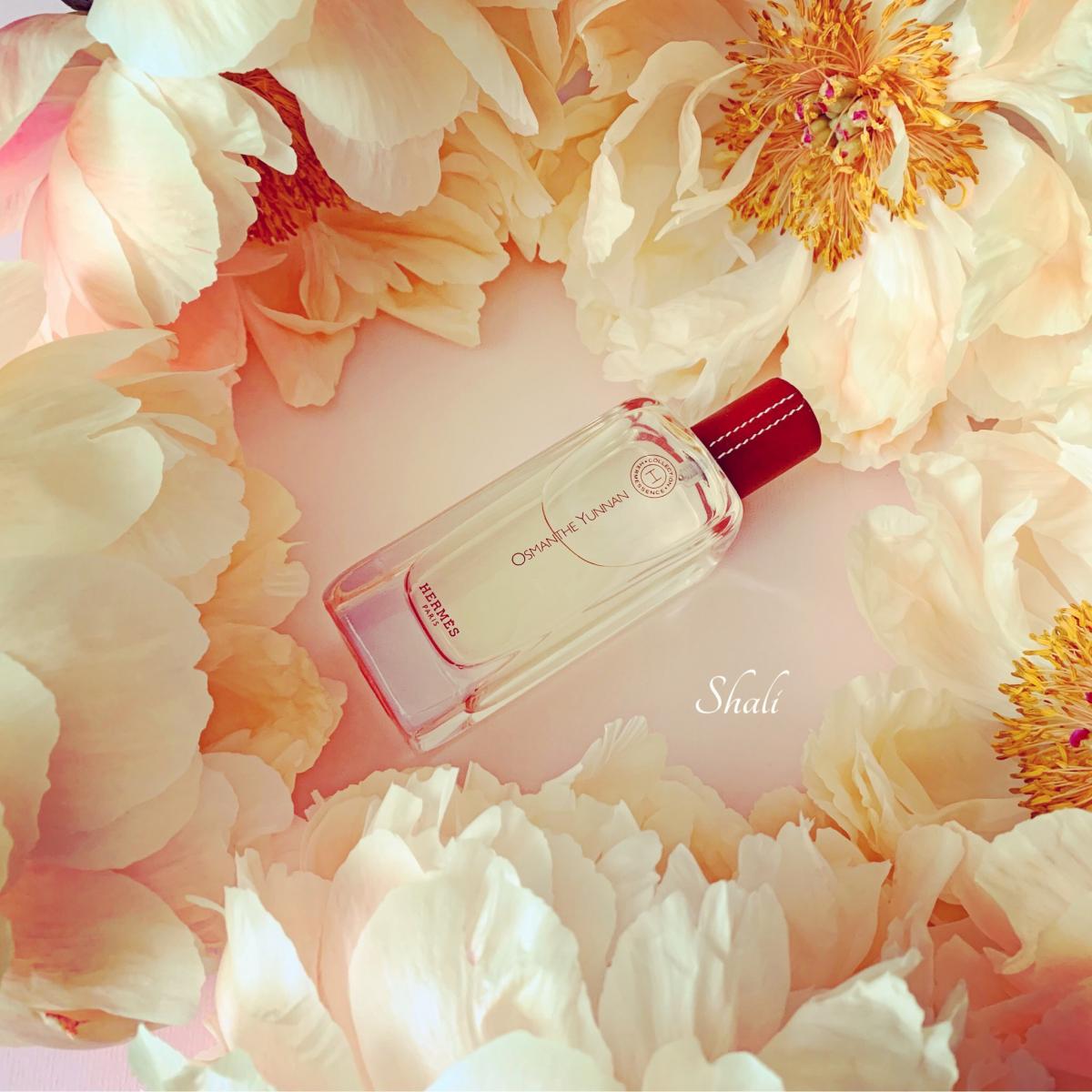Hermessence Osmanthe Yunnan Hermès perfume a fragrância