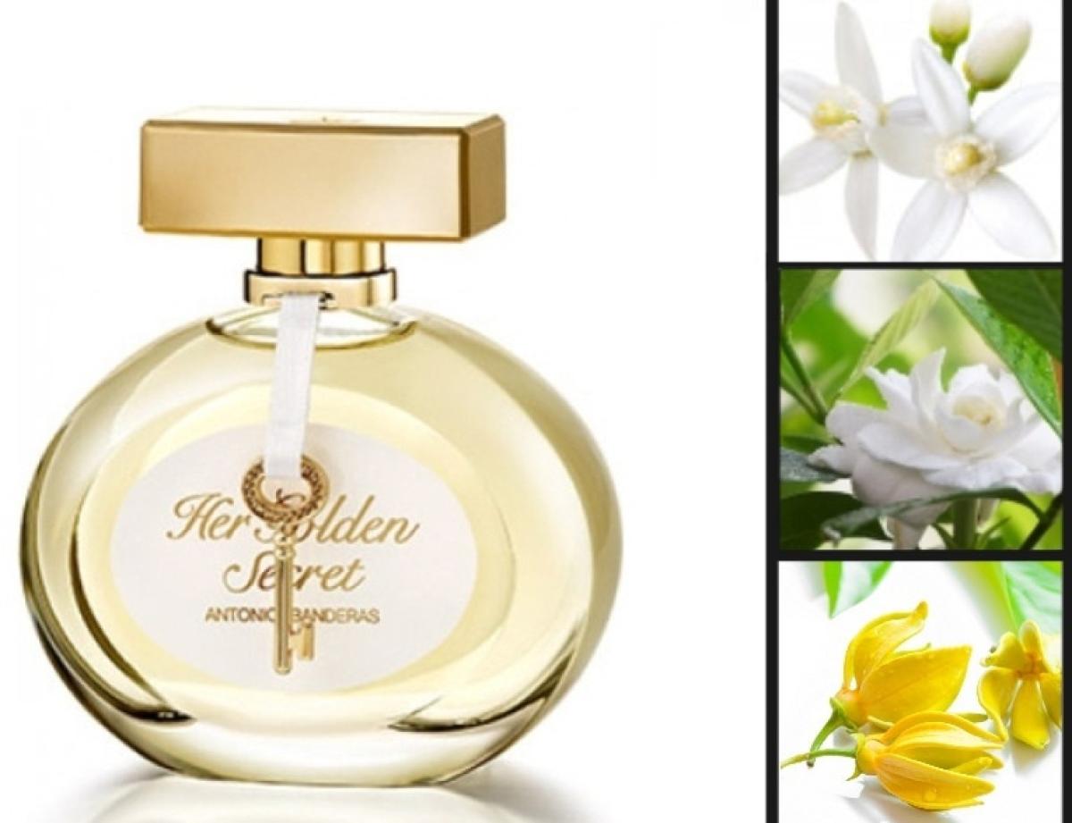 Her Golden Secret Antonio Banderas аромат — аромат для женщин 2013