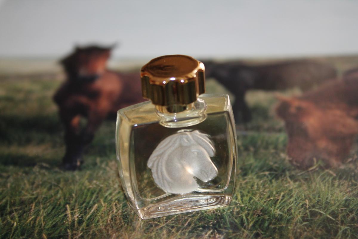 Lalique Pour Homme Equus Lalique Kolonjska voda - parfem za muškarce 2001