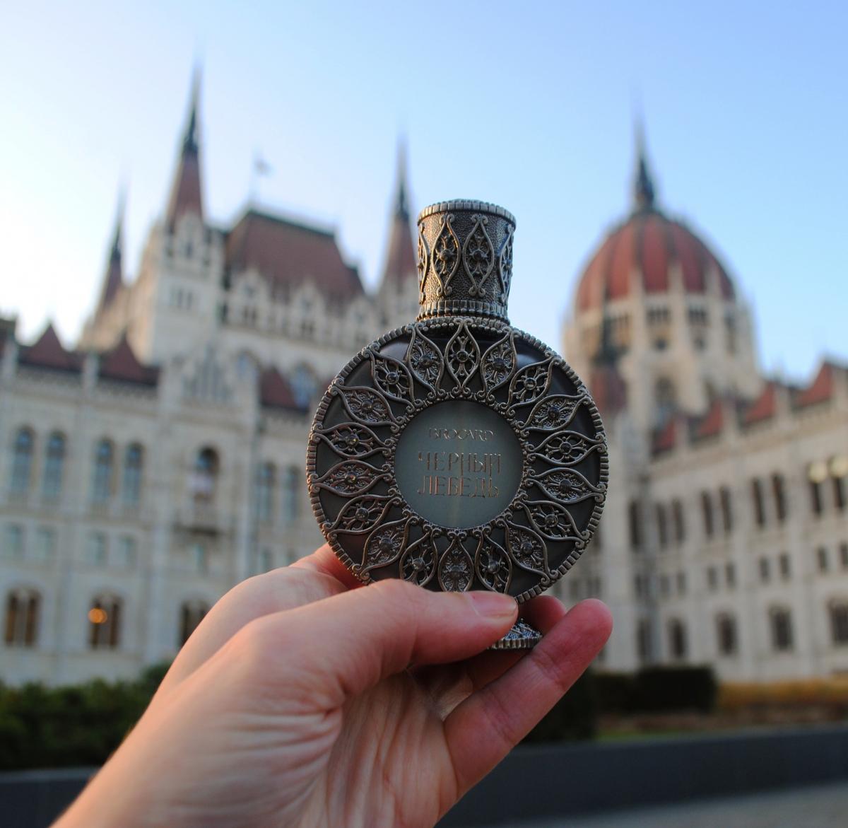 Black Swan (Черный лебедь) Brocard аромат — аромат для женщин 2019