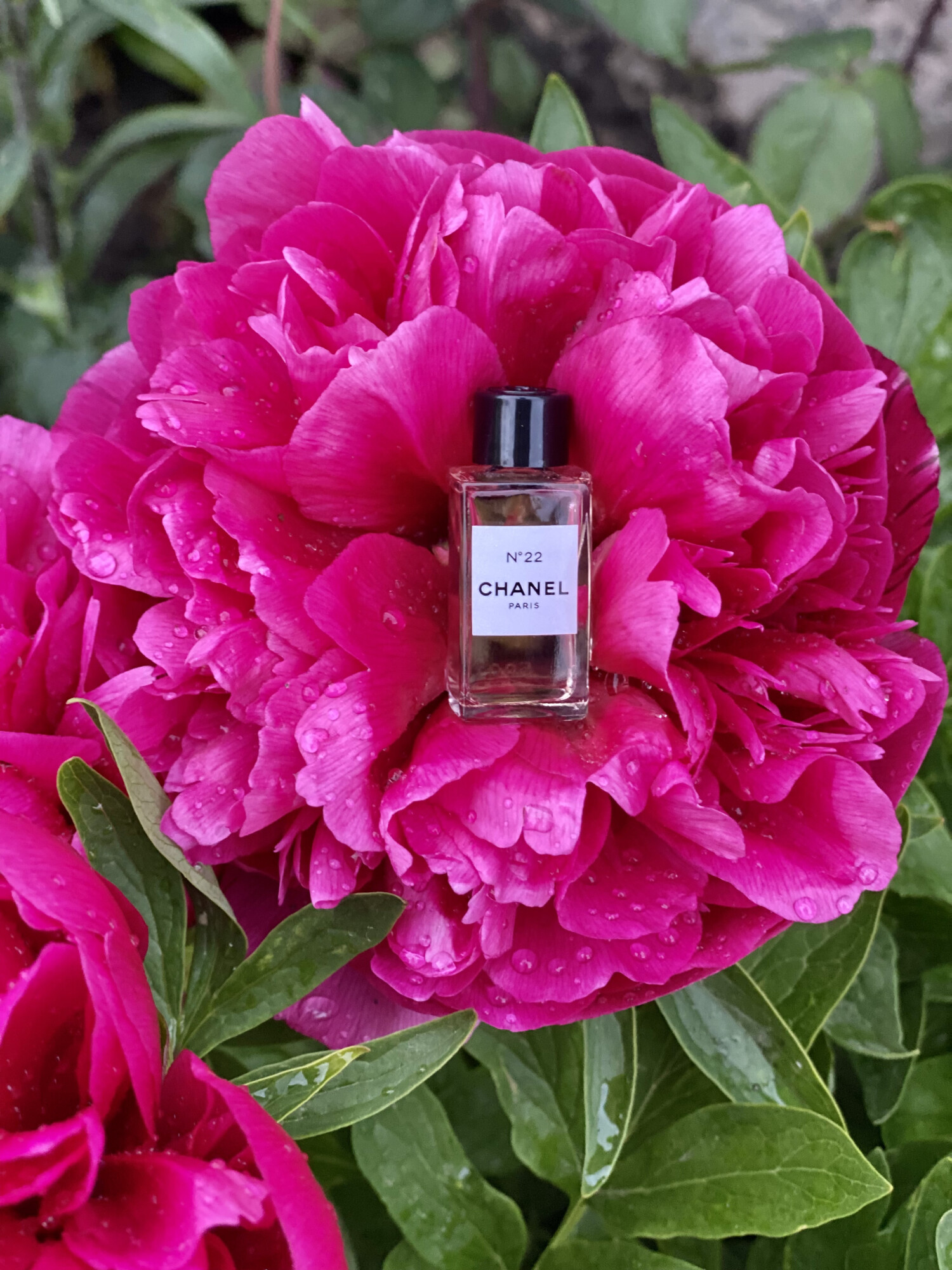 No 22 Eau De Parfum Chanel Parfem Parfem Za ene 2016