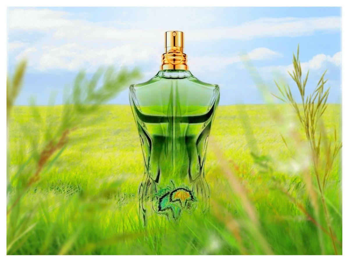 Le Beau Paradise Garden Jean Paul Gaultier Cologne - un nouveau parfum ...