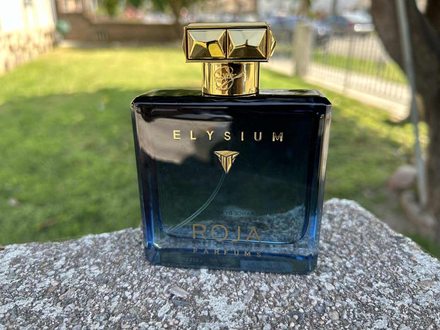 Elegantes Elysium Pour Homme Fotos