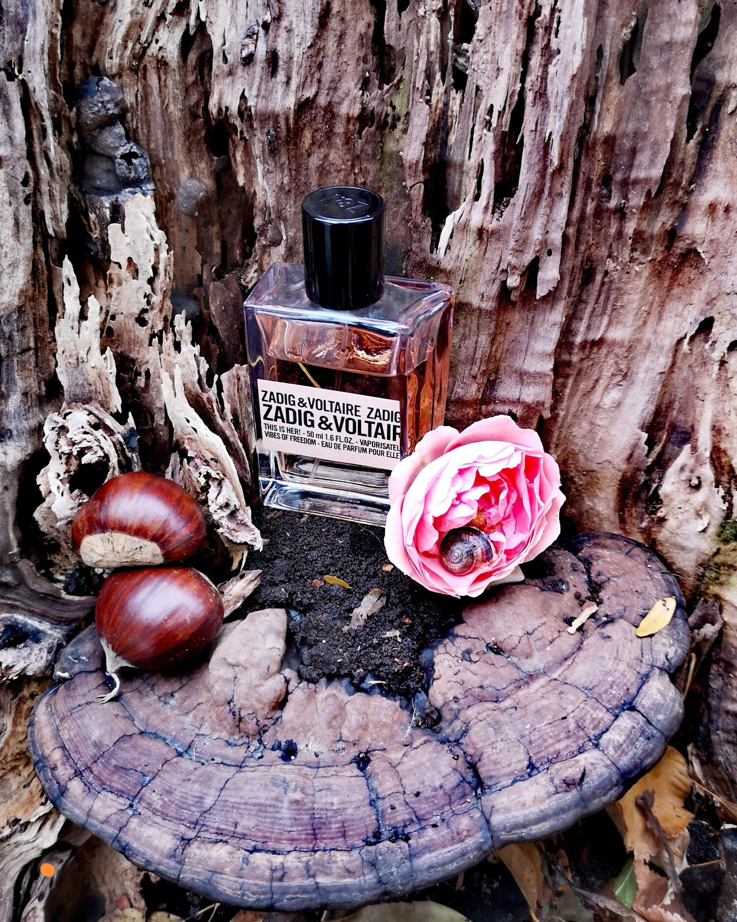 This is Her! Vibes of Freedom Zadig & Voltaire parfem novi parfem za