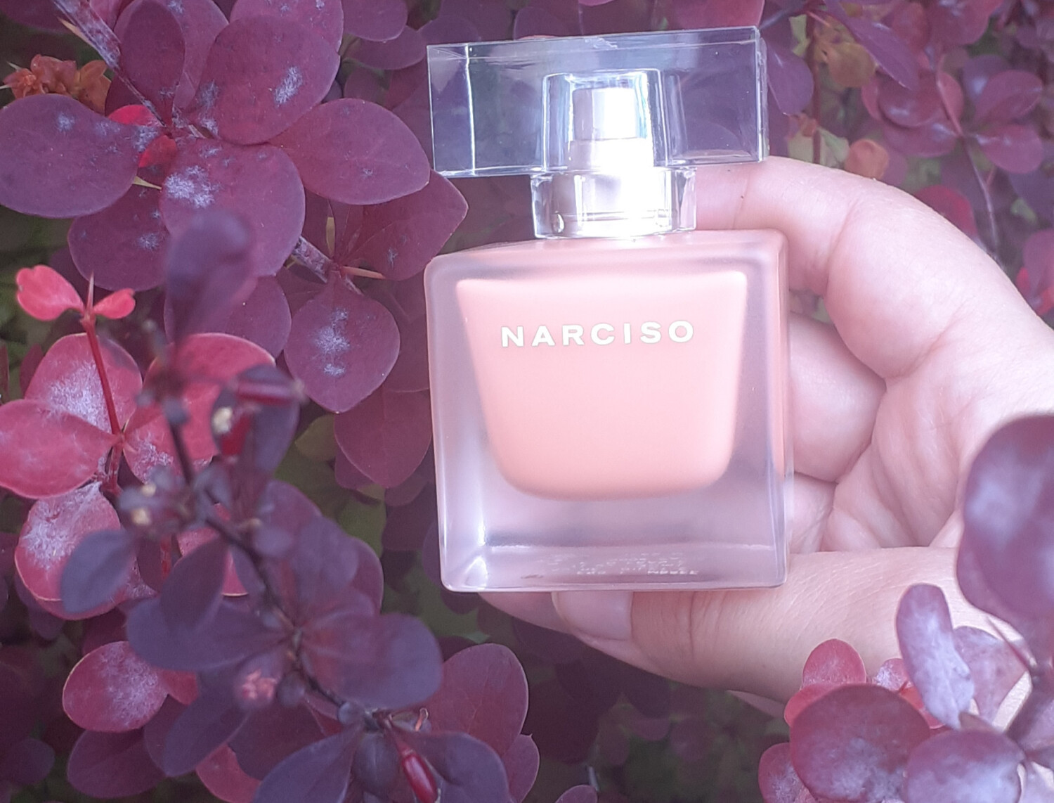 Parfum Narciso Rodriguez Eau Néroli Ambrée 90 Ml - Neuf Avec Léger Défaut