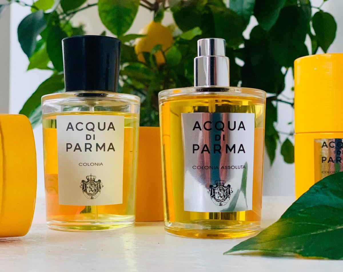 Acqua di Parma Colonia Acqua di Parma Parfum - ein es Parfum für Frauen ...