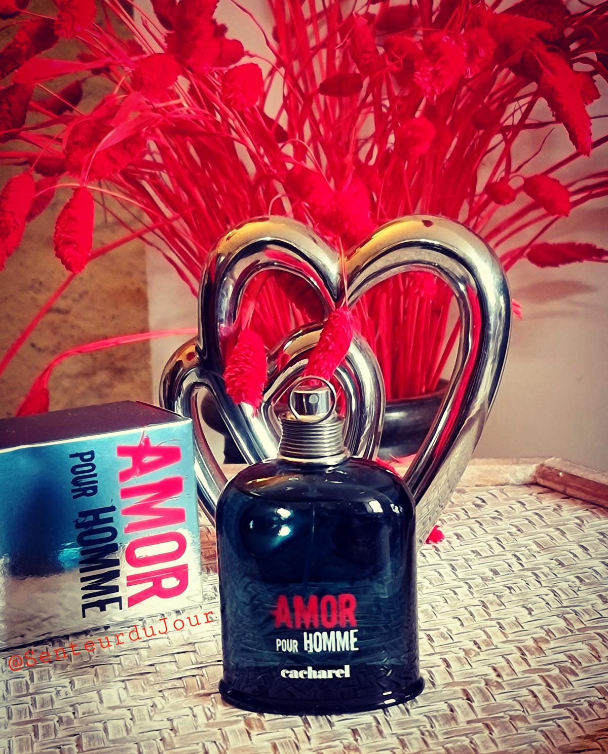 Amor pour Homme Cacharel cologne - een geur voor heren 2006