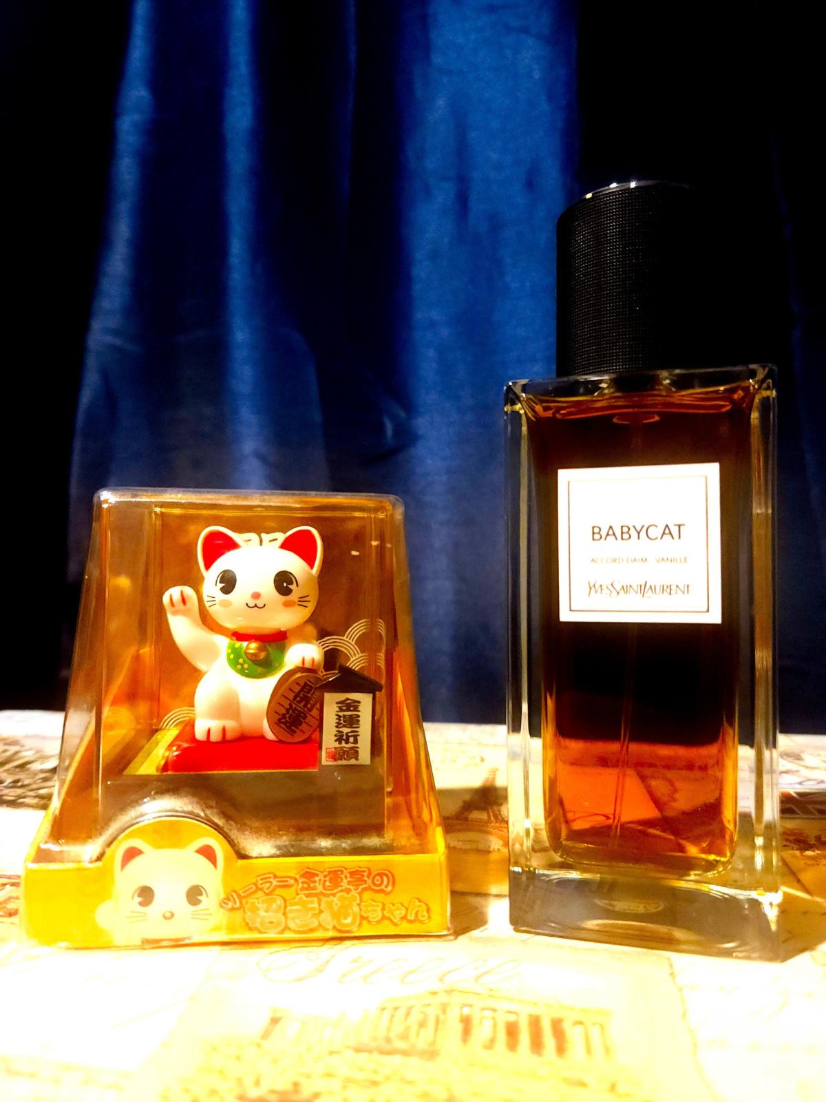 Babycat Yves Saint Laurent parfum - un nouveau parfum pour homme et ...