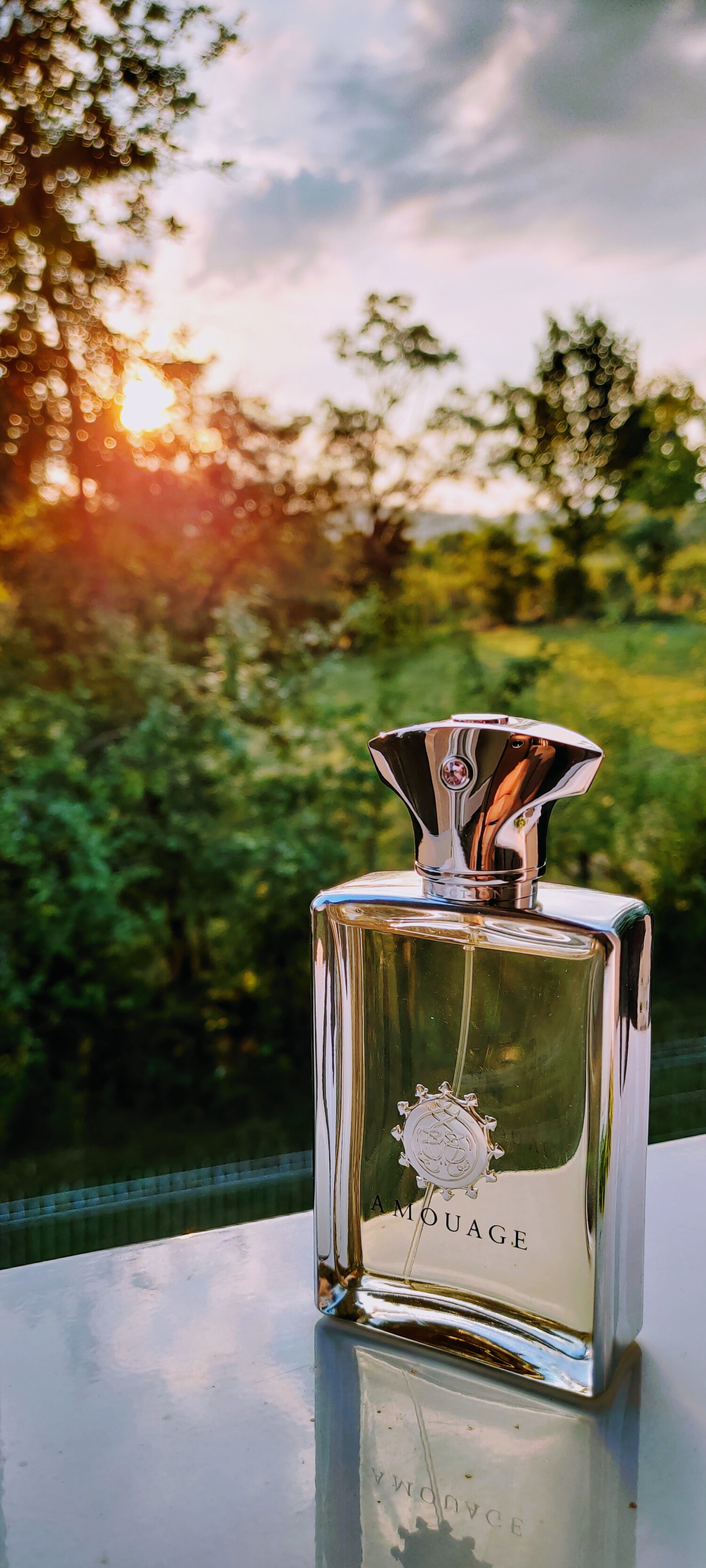 Reflection Man Amouage Cologne - un parfum pour homme 2007