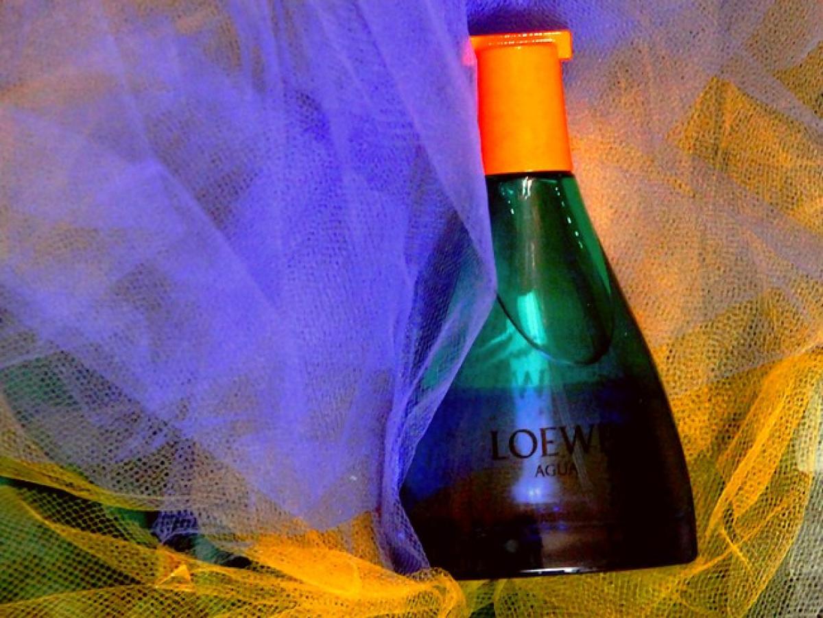 agua miami beach loewe