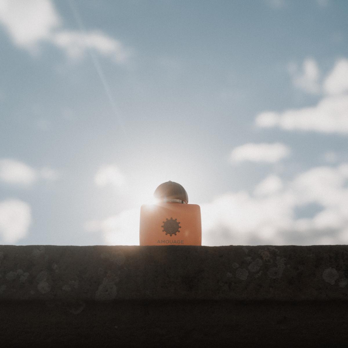 Guidance Amouage perfumy - to nowe perfumy dla kobiet i mężczyzn 2023