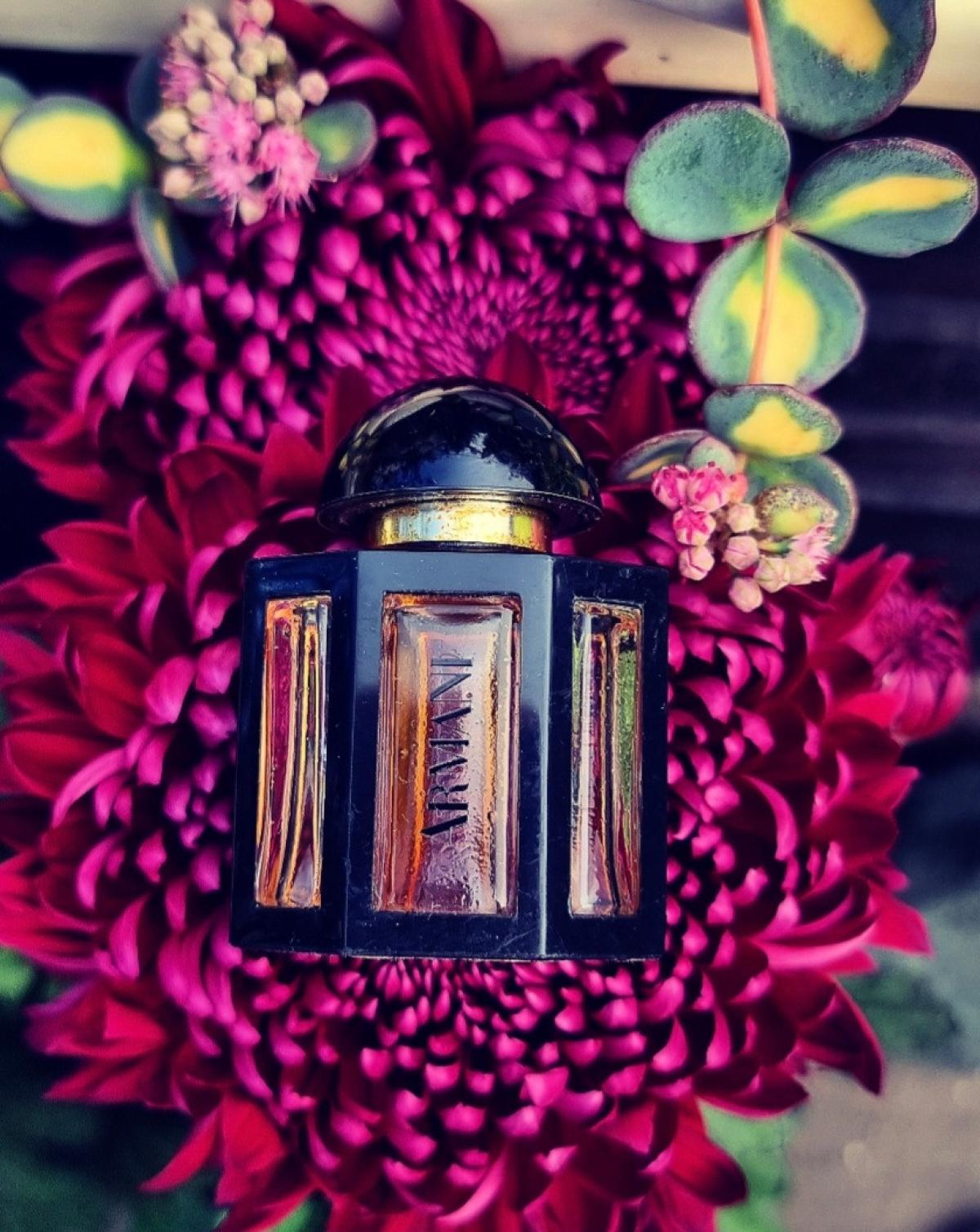 Armani Giorgio Armani Parfum - ein es Parfum für Frauen 1981