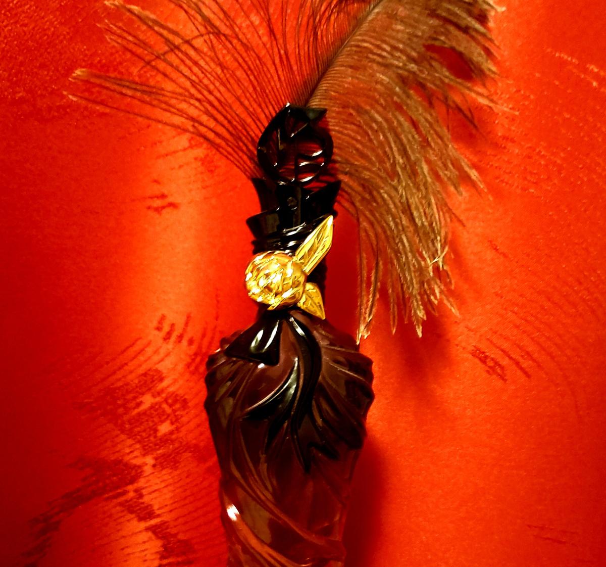 John Galliano John Galliano perfume - a fragrância Feminino 2008