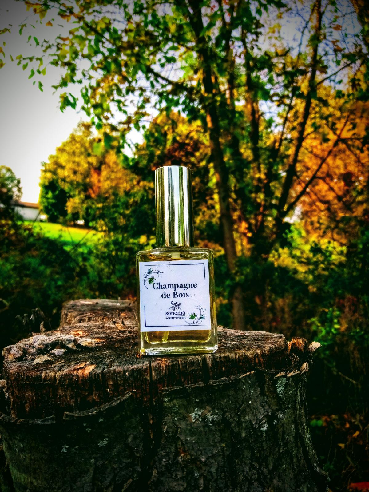 Champagne de Bois Sonoma Scent Studio parfum un parfum pour homme et