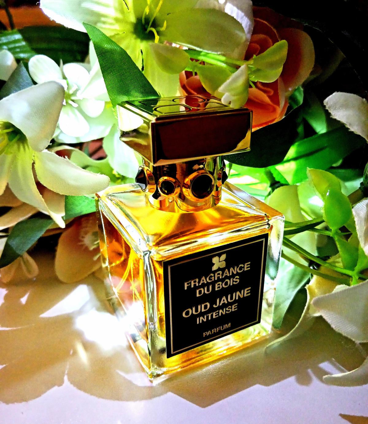 Oud Jaune Intense Fragrance Du Bois Parfum ein es Parfum für Frauen