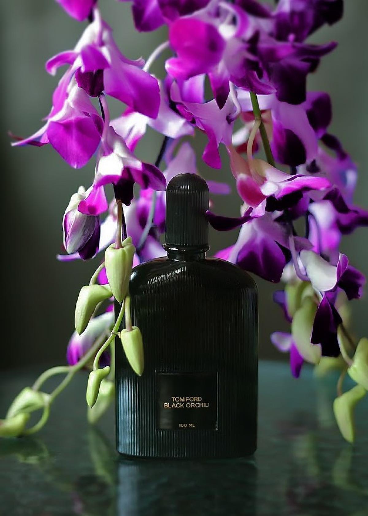 Black Orchid Tom Ford аромат — аромат для женщин 2006