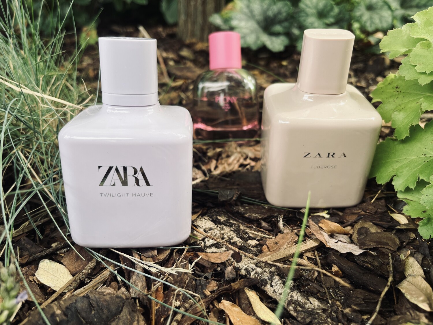 Twilight Mauve Zara parfém - a vůně pro ženy 2016