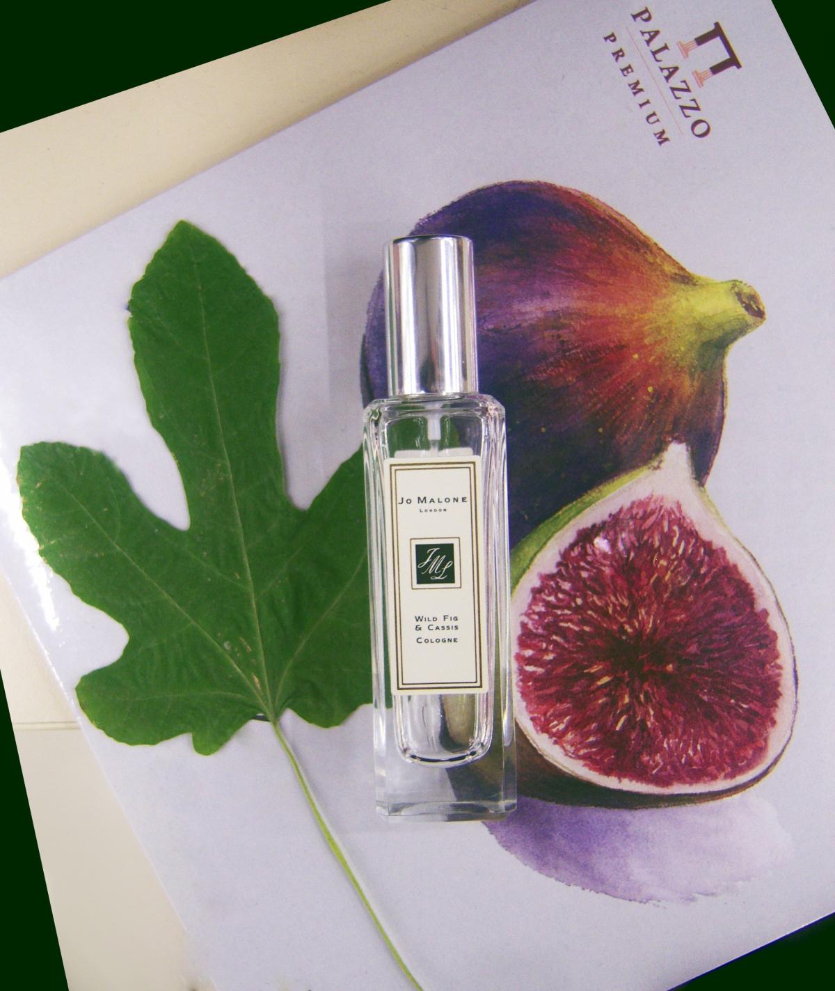 Wild Fig & Cassis Jo Malone London аромат — аромат для мужчин и женщин 2002