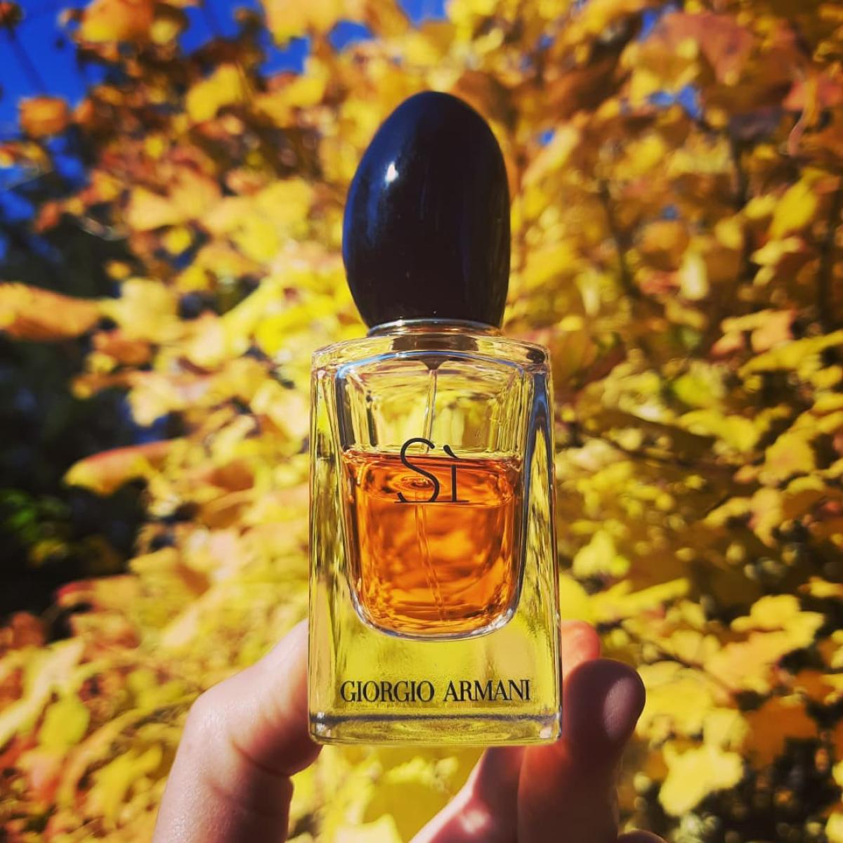 Si Giorgio Armani parfem - parfem za žene 2013