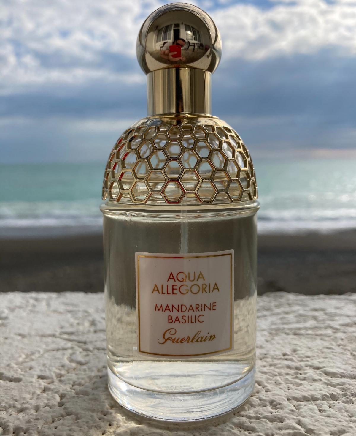 Аква аллегория мандарин базилик. Aqua Allegoria Mandarine basilic. Aqua Allegoria Mandarine basilic от Guerlain. Герлен Аква аллегория мандарин базилик Фрагрантика. Mandarine basilic Forte.