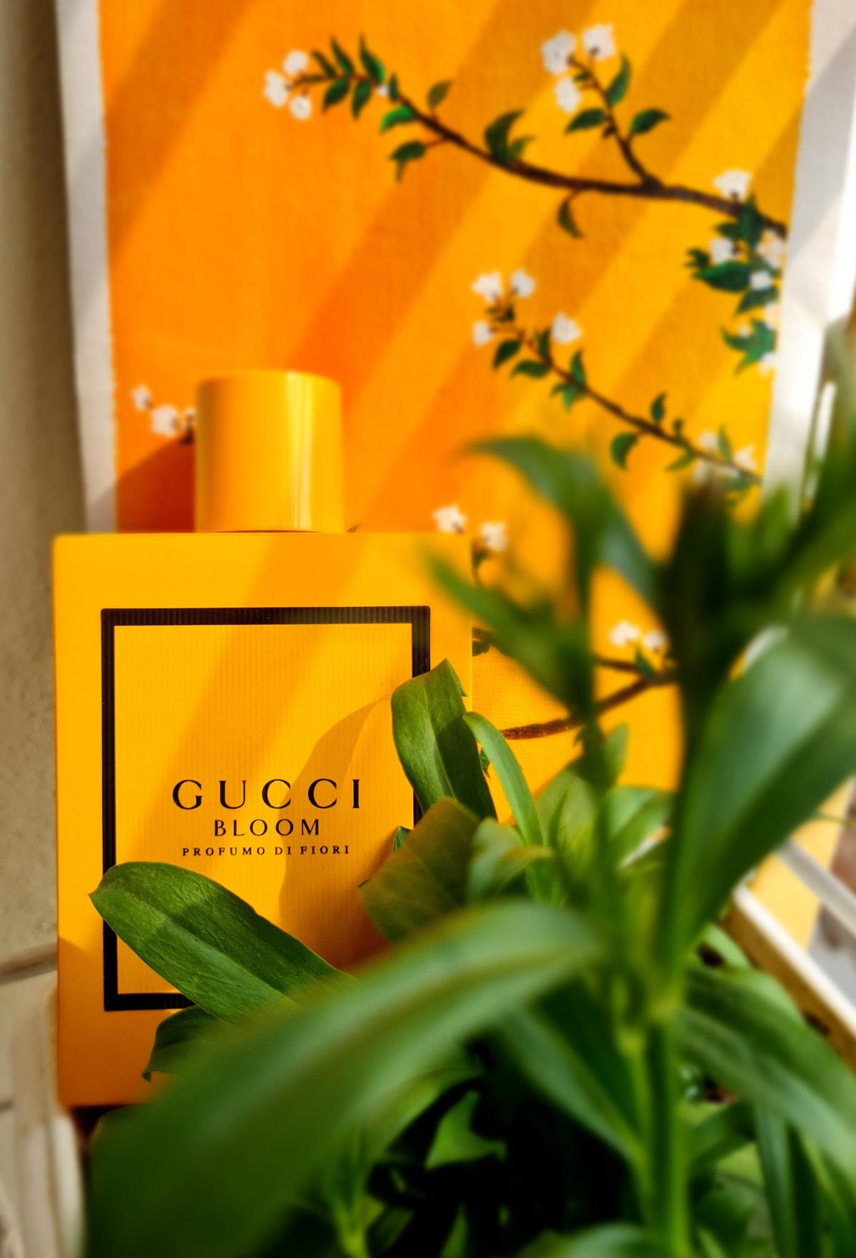 bloom profumo di fiori gucci