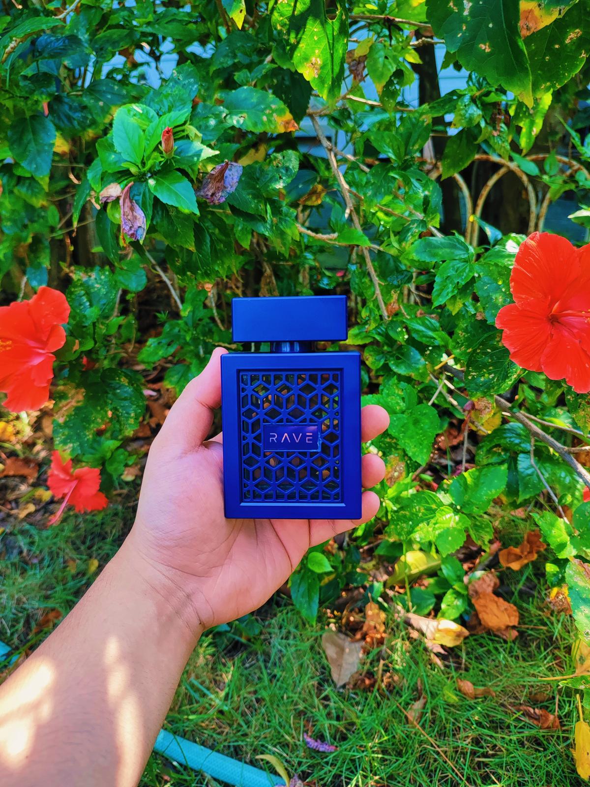 Now Intense RAVE Cologne - ein neues Parfum für Männer 2022