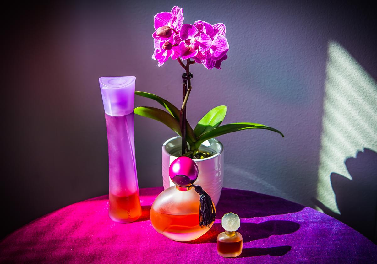 Pur Desir de Lilas Yves Rocher Parfum ein es Parfum für Frauen 2002