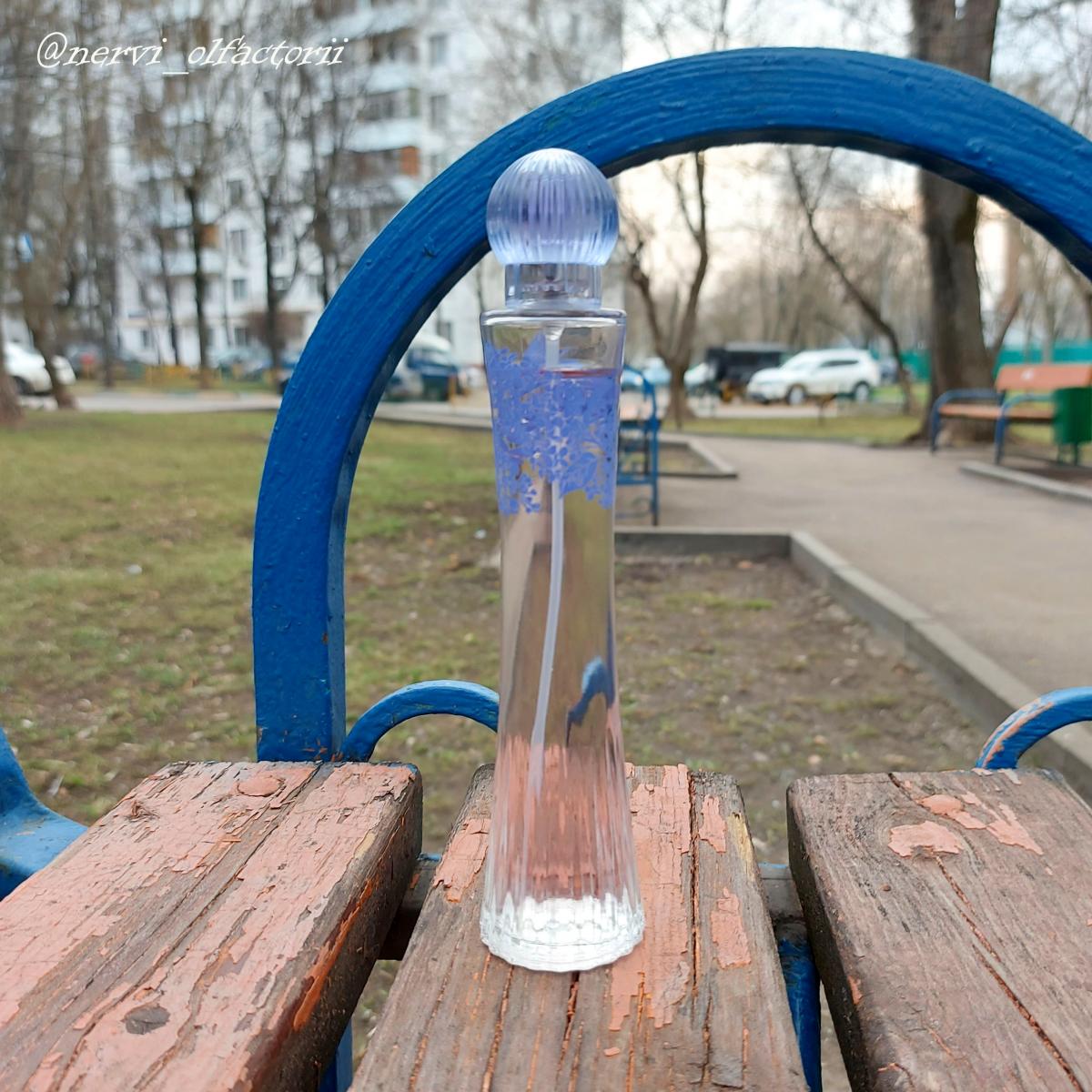 Romantica Brocard аромат — аромат для женщин 2016