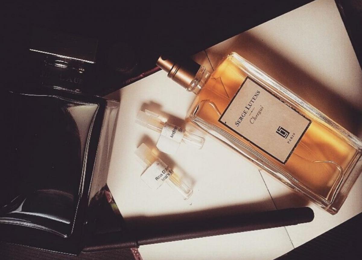 romance ralph lauren homme