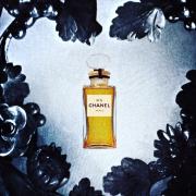 Chanel No 5 Parfum Chanel аромат — аромат для женщин 1921