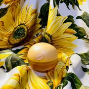 dkny be delicious delights dreamsicle