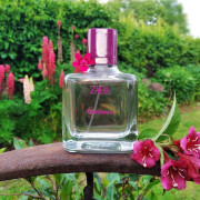 Zara Gardenia 2016 Zara fragancia - una fragancia para Mujeres 2016