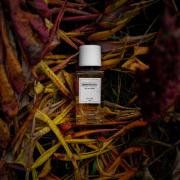 سمع القصب مادة للتزيين مختصر  Migration de L'Arbre Senyokô perfumy to perfumy dla kobiet