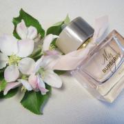 Burberry blush outlet fragrantica