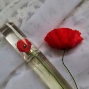 flower by kenzo boots