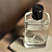 zara vibrant leather cena