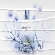 fahrenheit 32 fragrantica