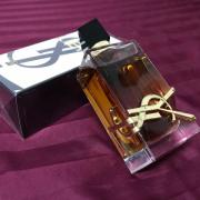 Perfume Feminino Yves Saint Laurent Libre Le Parfum 30ml - Lançamento