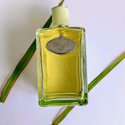 Prada Infusion D'Iris by Prada for Women 6.75 oz Eau de Parfum Spray