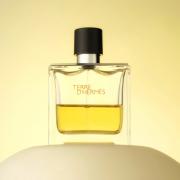 terdemes parfum