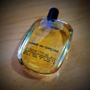 comme des garcons 2 fragrantica
