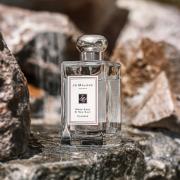 Langwerpig Gloed Spreekwoord Wood Sage &amp;amp; Sea Salt Jo Malone London perfume - a fragrance for  women and men 2014