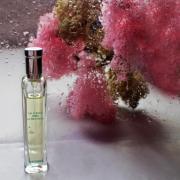 hermès un jardin après la mousson