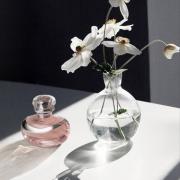 O BOTICARIO Lily True Glow Bundle: Eau de Parfum (2.5 fl oz), Body Cream  (8.8oz) & Shimmering Body Gel (8.8oz)