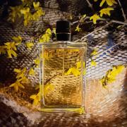 Allure Chanel perfume - a fragrância Feminino 1996