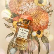 Hibiscus Palm Aerin Lauder 2017