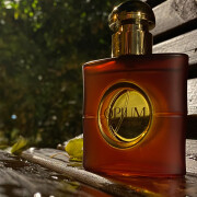 opium edp fragrantica