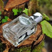 prada infusion de vetiver 2015