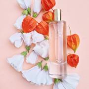 Golden Decade Winter Zara parfum - een nieuwe geur voor dames 2023